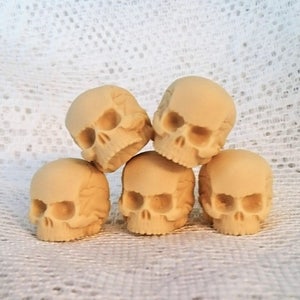 5 Menschlicher Schädel 1:12 Harz Cabochon Gothic Goth Schädel Elfenbein 5 STÜCK Menschlicher Schädel Miniatur 20 x 23 mm - 5 STÜCK - KLEIN