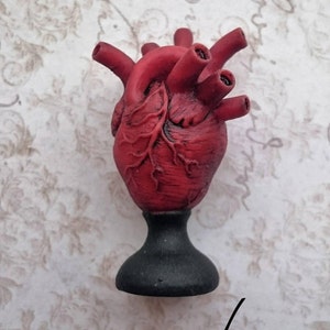 Heart on Pedestal Miniature - Miniature human Heart on Pedestal made of resin