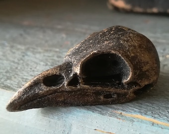 May include: A small, dark brown bird skull figurine with a detailed beak and eye sockets. The skull is lying on a light blue wooden surface.