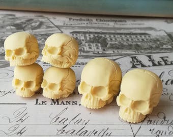 6 Human Skull Mix Resin Gothic Goth Skull Ivory 6 PIECES Human Skull Miniature 20x23mm and 25x27mm