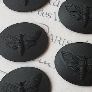 Könnte beinhalten: Fünf schwarze, ovale Cabochons mit einem erhabenen Design eines Totenkopfschwärmers.