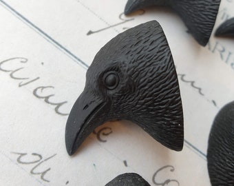 5 Bird Head Raven Head Crow head Black Bird Cabs Resin Cabochon Taxidermy Animal Steampunk Gothic Goth mm 5 PIECES
