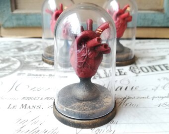 HEART in BELL JAR Miniature Diorama Jar Gothic Oddities Curiosities Spooky anatomical heart - 1 Piece!