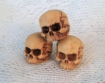 3 Human Skull Cabs Resin Cabochon Gothic Goth Skull Ivory Human Skull Miniature 20x23mm