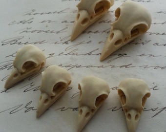 Ivory Resin Bird Skull Cabochons: Raven Crow Steampunk Gothic - 6 PCS