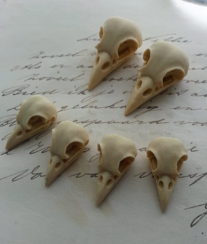Bird Skull Raven Skull Crow Skull Cameo Cabs Resin Cabochon Taxidermy…