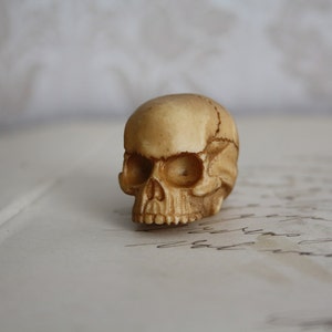 1 Schädel Cabs Kunstharz Cabochon Gothic Goth Schädel Elfenbein Schädel Miniatur 25 x 27 mm
