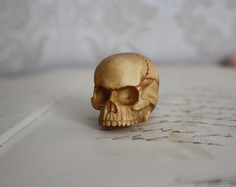 1 Human Skull Cabs Resin Cabochon Gothic Goth Skull Ivory Human Skull Miniature 25x27mm