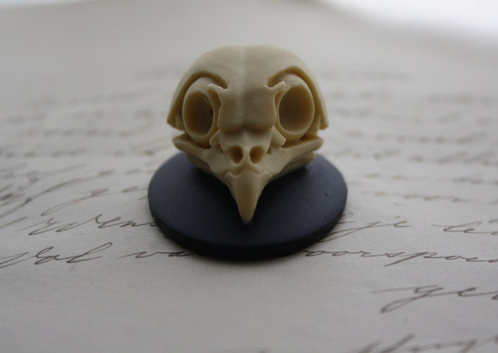 Bird Skull Owl Skull Cameo Cabs Resin Cabochon Taxidermy Animal Steam…