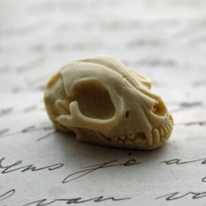 Cat Skull Cameo Cabs Resin Cabochon Taxidermy Animal Cameo Cat Steampunk Gothic Goth Skull Ivory 25x18mm 6 PIECES image 3