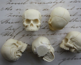 5 ivoorhars schedel cabochons: gotische miniatuurversieringen (25 x 27 mm)
