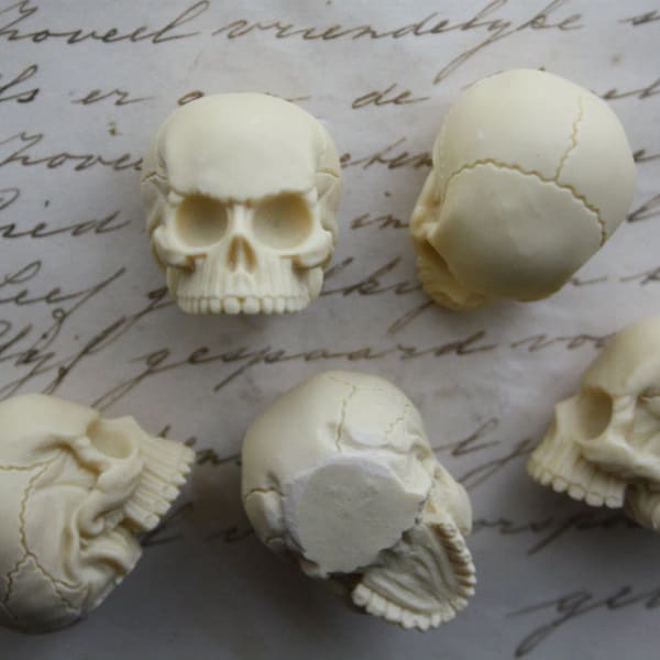 5 Human Skull Cabs Resin Cabochon Gothic Goth Skull Ivory 5 PIECES Human Skull Miniature 25x27mm - 5 PIECES - LARGE