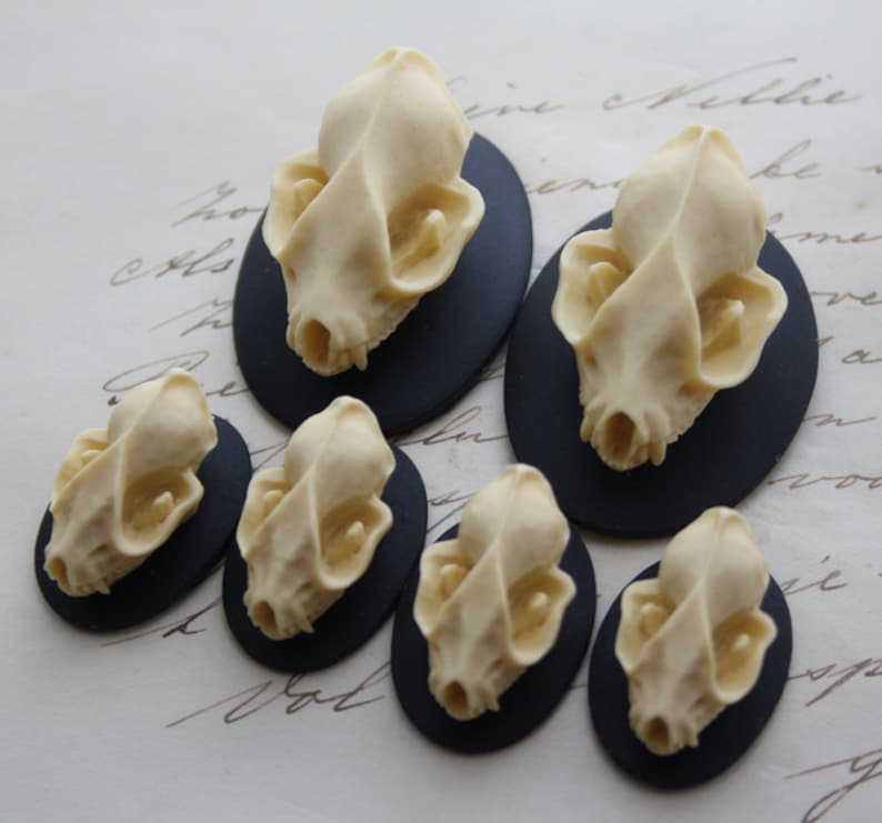 Bat Skull Cameo Cabs Resin Cabochon Taxidermy Animal Steampunk Etsy
