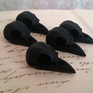 May include: Five small black bird skulls, made of resin, are arranged on a piece of paper with handwritten text.