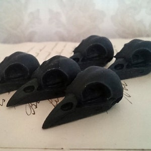 May include: Five black crow skull figurines. The skulls are detailed and realistic, with a glossy finish.
