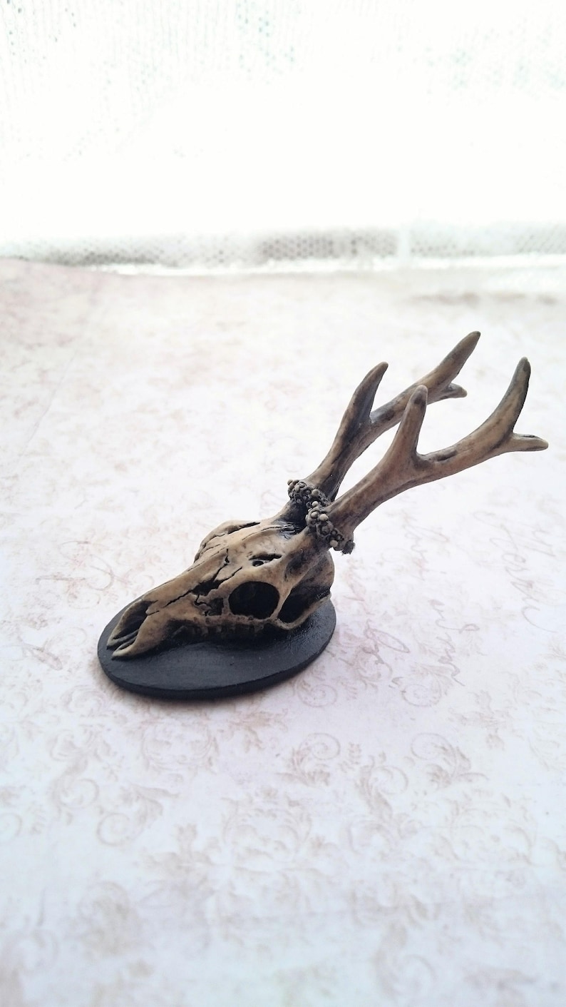 Op de afbeelding: Een klein, gedetailleerd hertenschedel met geweien, geschilderd in een botkleur, staat op een zwarte basis. De schedel is versierd met een kralenketting.