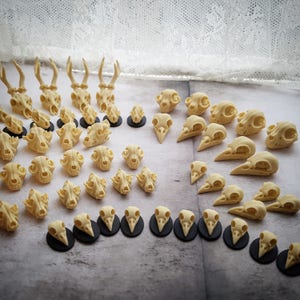 May include: A collection of small, off-white animal skull replicas, including deer, cat, and bird skulls. Some skulls are mounted on small black bases. The skulls are arranged on a light-colored surface, creating a display of various bone structures.