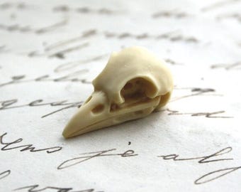 6 Ivory Resin Bird Skull Cabochons: Gothic Steampunk flatbacks (21x12mm)