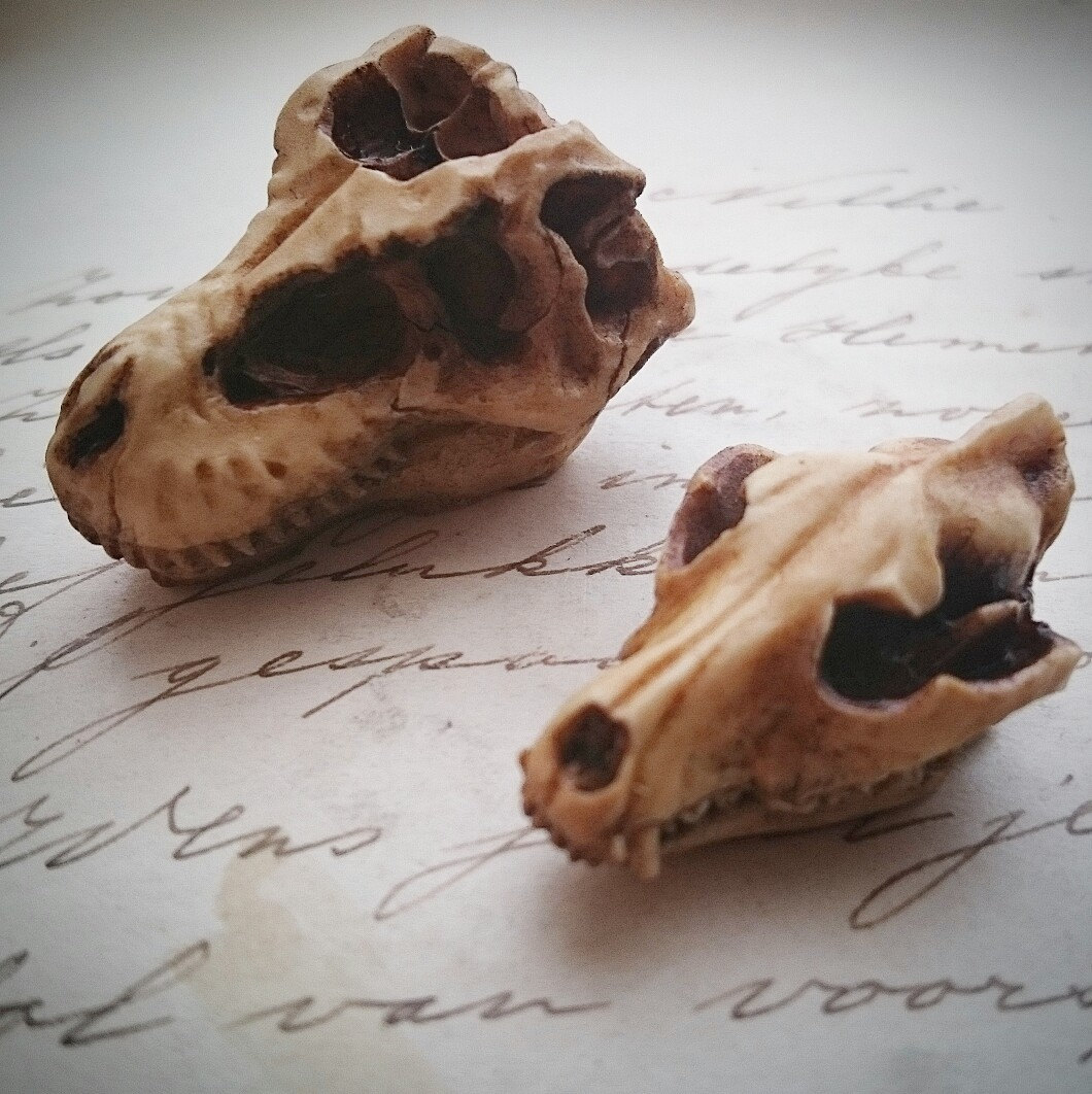 Antiqued Aged Wolf T-rex Dinosaur Skull Cameo Cabs Resin Cabochon Tax…