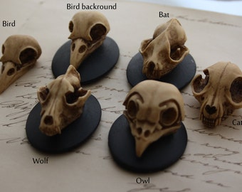 May include: Six small animal skulls on black bases, labeled "Bird", "Bird background", "Bat", "Wolf", "Owl", and "Cat".
