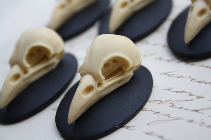 Bird Raven Crow Skull Cameo Cabs Resin Cabochon Taxidermy Animal Stea…