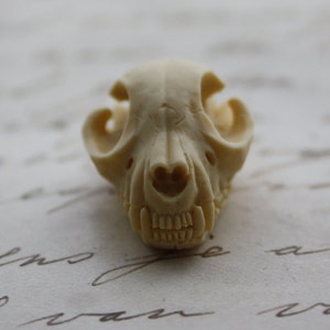 Cat Skull Cameo Cabs Resin Cabochon Taxidermy Animal Cameo Cat Steampunk Gothic Goth Skull Ivory 25x18mm 6 PIECES image 4