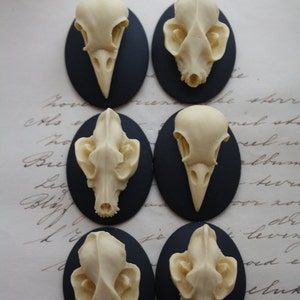 Bat Wolf Bird Skull Cameo Cabs Resin Cabochon Taxidermy Animal Steampunk Gothic Goth Skull Black Ivory 40x30mm 6 PIECES Mix Lot image 2