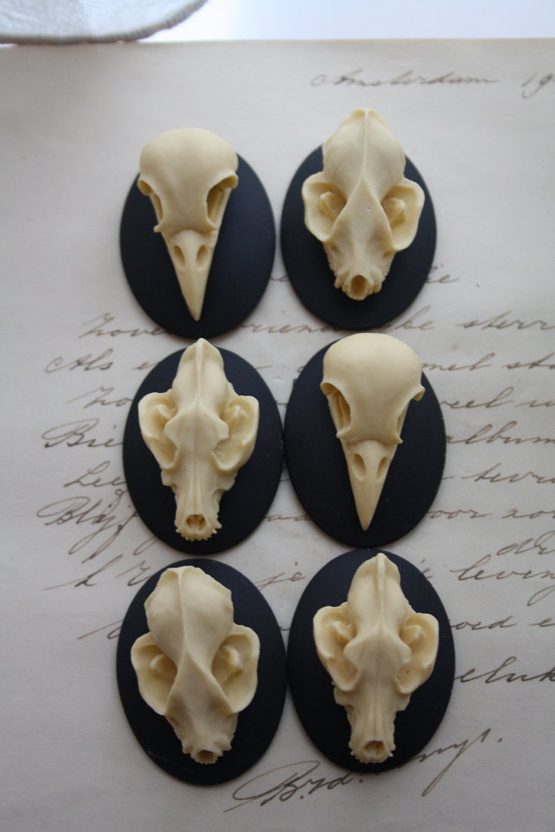 Bat Wolf Bird Skull Cameo Cabs Resin Cabochon Taxidermy Animal Steampunk Gothic Goth Skull Black Ivory 40x30mm 6 PIECES Mix Lot image 2