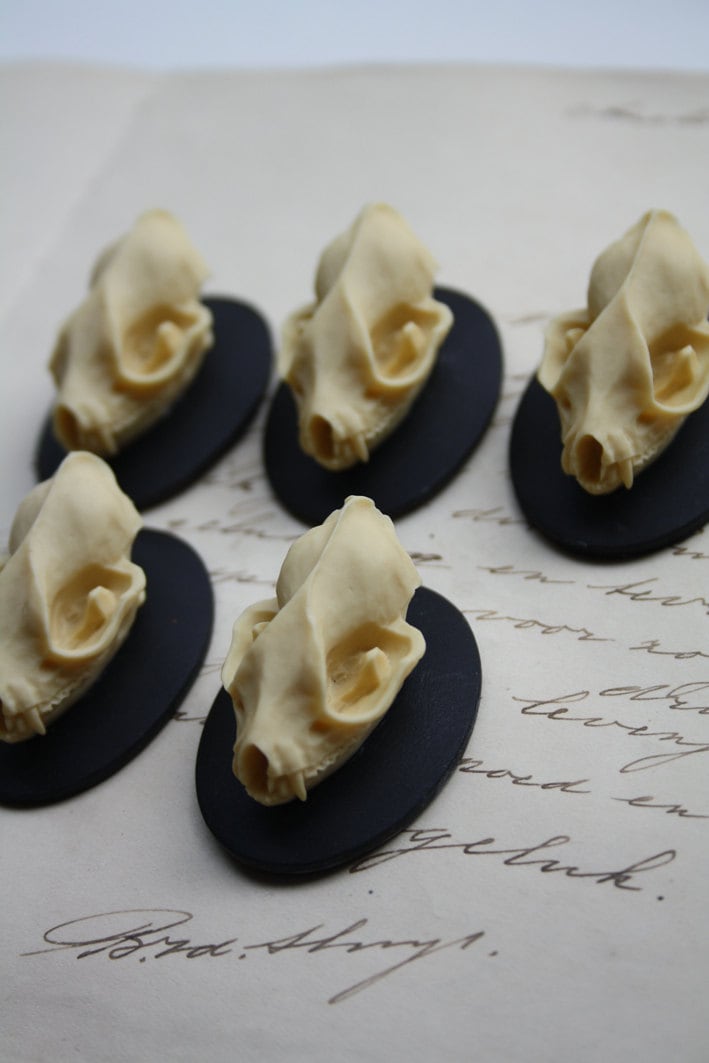 Bat Skull Cameo Cabs Resin Cameo Resin Bat Skull Cabochon Taxidermy A…
