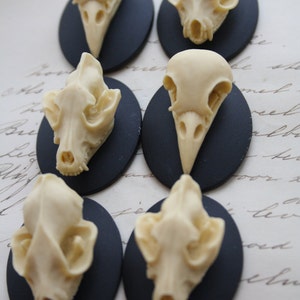 Bat Wolf Bird Skull Cameo Cabs Resin Cabochon Taxidermy Animal Steampunk Gothic Goth Skull Black Ivory 40x30mm 6 PIECES Mix Lot image 1