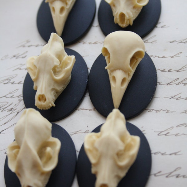 Bat Wolf Bird Skull Cameo Cabs Resin Cabochon Taxidermy Animal Steampunk Gothic Goth Skull Black Ivory 40x30mm 6 PIECES Mix Lot