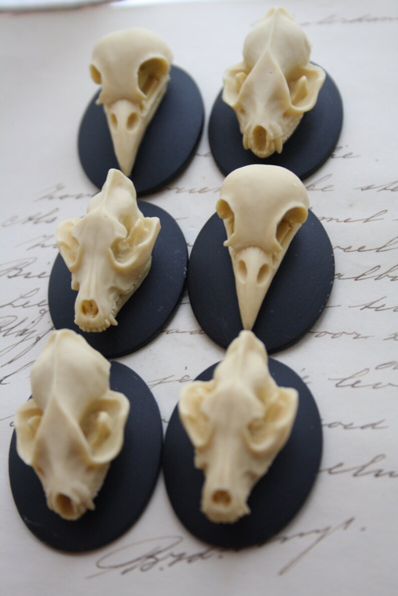 Bat Wolf Bird Skull Cameo Cabs Resin Cabochon Taxidermy Animal Steampunk Gothic Goth Skull Black Ivory 40x30mm 6 PIECES Mix Lot image 1