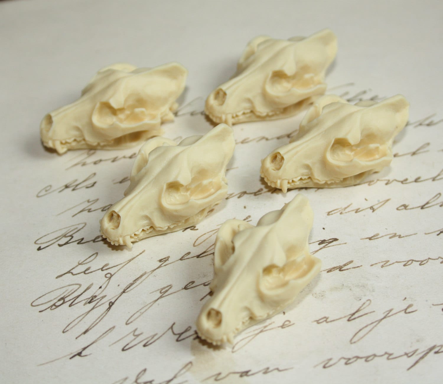 Wolf Skull Cameo Cabs Resin Cabochon Taxidermy Animal Werewolf Wolf S…