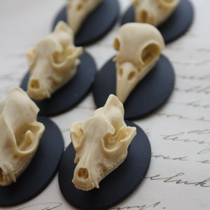 Bat Wolf Bird Skull Cameo Cabs Resin Cabochon Taxidermy Animal Steampunk Gothic Goth Skull Black Ivory 40x30mm 6 PIECES Mix Lot image 3