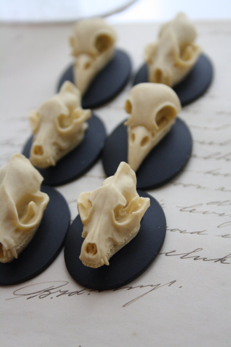 Bat Wolf Bird Skull Cameo Cabs Resin Cabochon Taxidermy Animal Steampunk Gothic Goth Skull Black Ivory 40x30mm 6 PIECES Mix Lot image 3