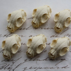 Cat Skull Cameo Cabs Resin Cabochon Taxidermy Animal Cameo Cat Steampunk Gothic Goth Skull Ivory 25x18mm 6 PIECES image 2