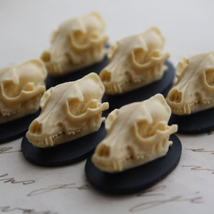 Wolf Skull Cameo Cabs Resin Cabochon Taxidermy Animal Werewolf Wolf Skull Cameo Bat Steampunk Gothic Goth Skull Black Ivory 25x18mm 6 PIECES image 1