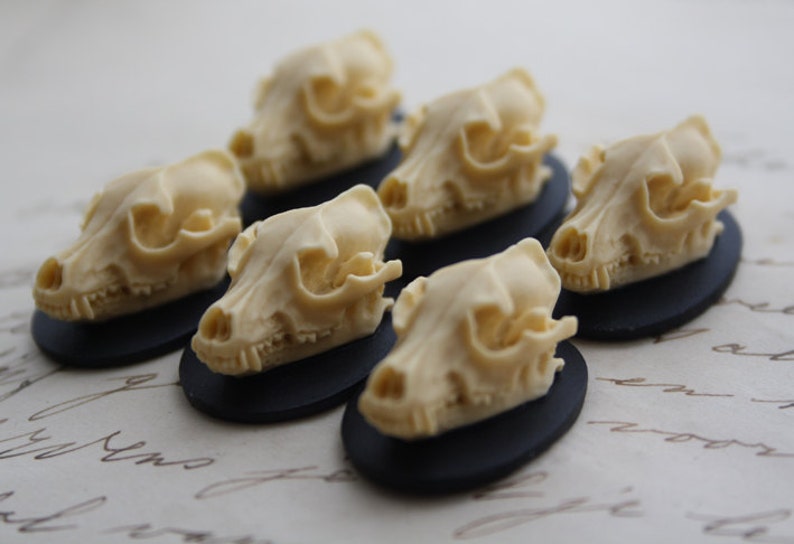 Wolf Skull Cameo Cabs Resin Cabochon Taxidermy Animal Werewolf Wolf Skull Cameo Bat Steampunk Gothic Goth Skull Black Ivory 25x18mm 6 PIECES image 1