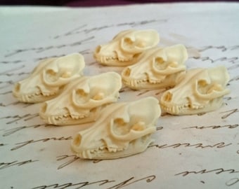Ivory Resin Wolf Skull Cabochons: Gothic Steampunk flatbacks (25x15mm, 6 PIECES)