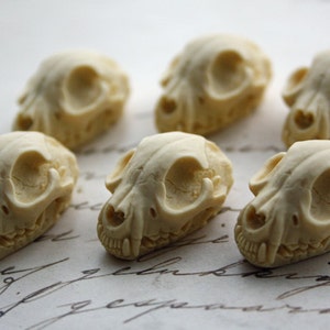 Cat Skull Cameo Cabs Resin Cabochon Taxidermy Animal Cameo Cat Steampunk Gothic Goth Skull Ivory 25x18mm 6 PIECES image 1