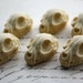 see more listings in the Skull without background section