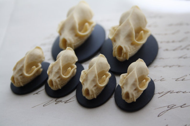 Gothic Skeleton Cameo Cabochons - Grey Resin Flat Back 25x18mm (2 Pieces)
