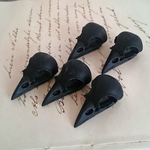 May include: Five black crow skull replicas, each with a detailed beak and skull structure. The skulls are arranged in a scattered pattern on a white surface with handwritten text.