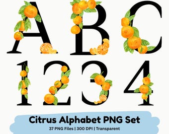 Conjunto de letras PNG con motivos cítricos / Letras de frutas naranjas, imágenes prediseñadas de hojas (descarga digital)