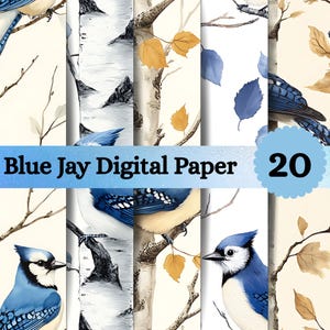 Op de afbeelding: Een collectie van 20 digitaal papierontwerpen met blauwe gaaien, berkenstammen en herfstbladeren. De patronen bevatten illustraties van blauwe en witte vogels op takken tegen crèmekleurige en witte achtergronden met de tekst Blue Jay Digital Paper.