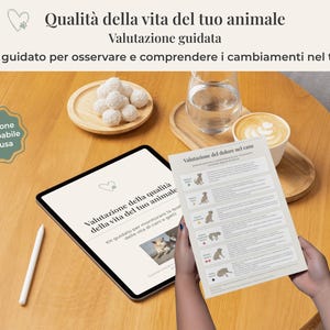 Può includere: Un tablet digitale e una guida stampata su un tavolo di legno. Il tablet mostra testo in italiano, con uno stilo bianco accanto. Una guida stampata è tenuta da una persona. Una tazza di caffè e un piatto di cibo sono anche sul tavolo.