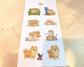 Pomeranian Scaredy Cat Dog