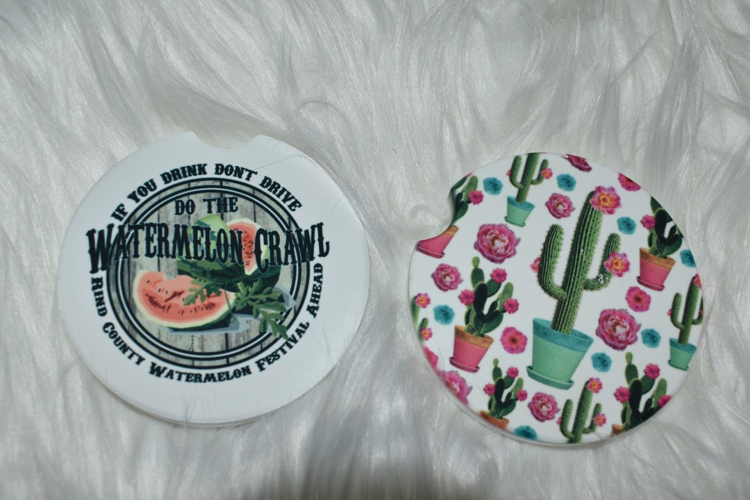Watermelon Car Coaster Cactus Car Accessories Cute Car Etsy