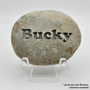 May include: A gray, oval-shaped stone with the name "Bucky" carved into it. The stone is displayed on a clear acrylic stand. The text "*we do not color fill stone. (stand not included)" is at the bottom.