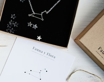 Zodiac Constellation Necklace, Sterling Silver Horoscope Jewelry